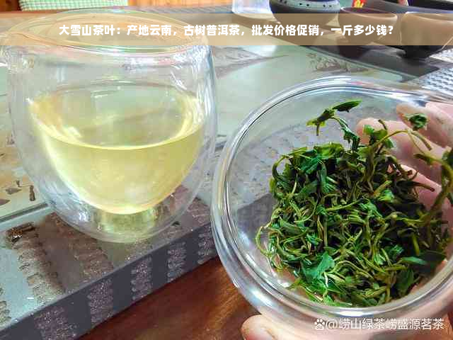 大雪山茶叶：产地云南，古树普洱茶，批发价格促销，一斤多少钱？