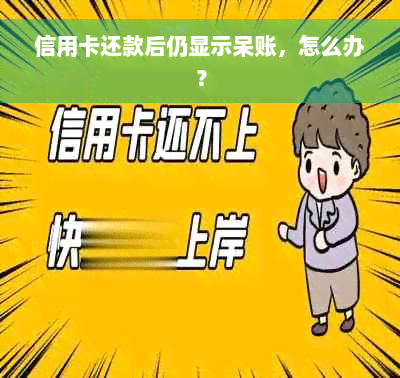 信用卡还款后仍显示呆账，怎么办？