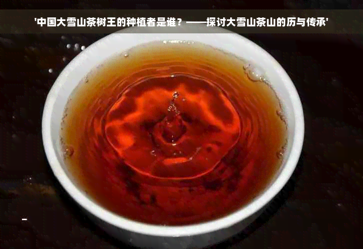 '中国大雪山茶树王的种植者是谁？——探讨大雪山茶山的历与传承'