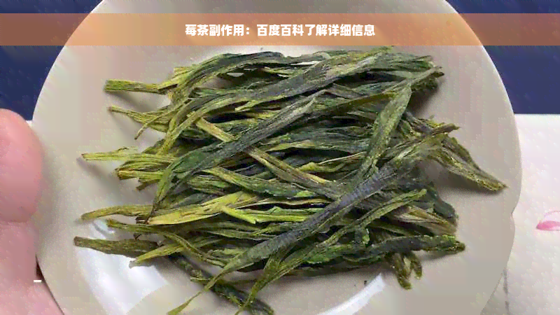 莓茶副作用：百度百科了解详细信息