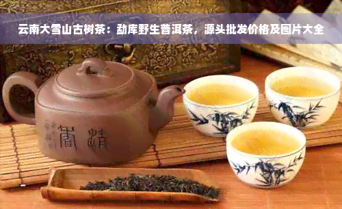 云南大雪山古树茶：勐库野生普洱茶，源头批发价格及图片大全