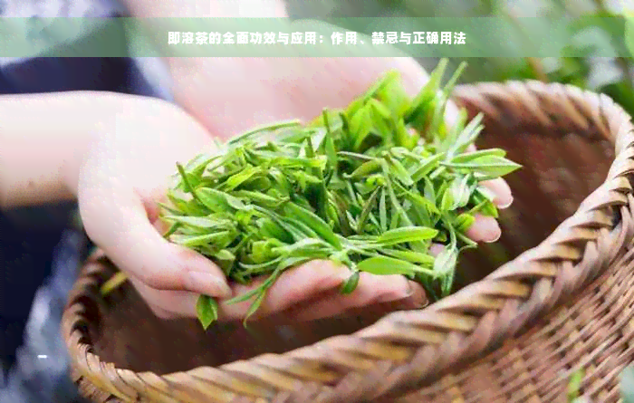 即溶茶的全面功效与应用：作用、禁忌与正确用法