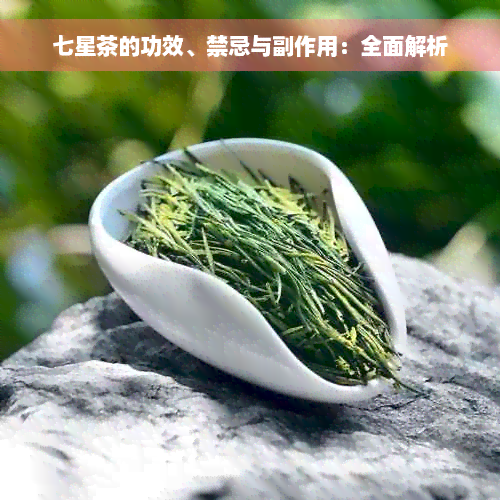 七星茶的功效、禁忌与副作用：全面解析