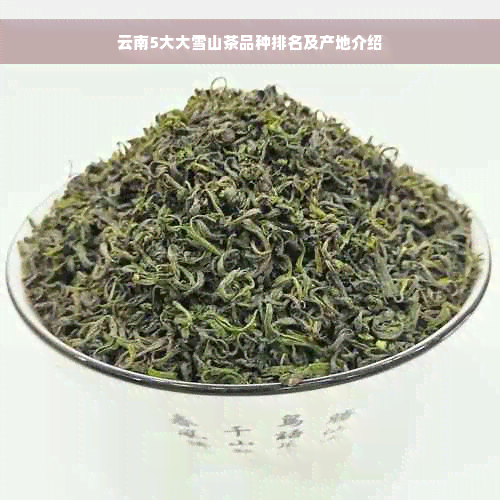 云南5大大雪山茶品种排名及产地介绍