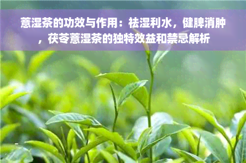 薏湿茶的功效与作用：祛湿利水，健脾消肿，茯苓薏湿茶的独特效益和禁忌解析