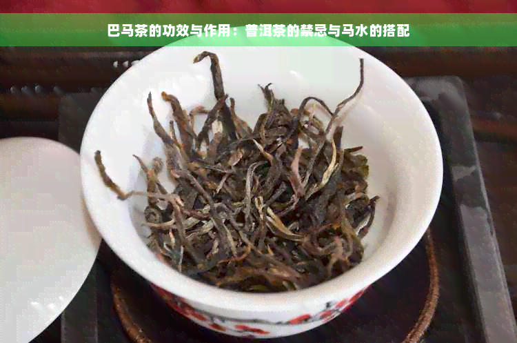 巴马茶的功效与作用：普洱茶的禁忌与马水的搭配