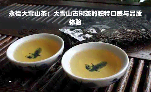 永德大雪山茶：大雪山古树茶的独特口感与品质体验