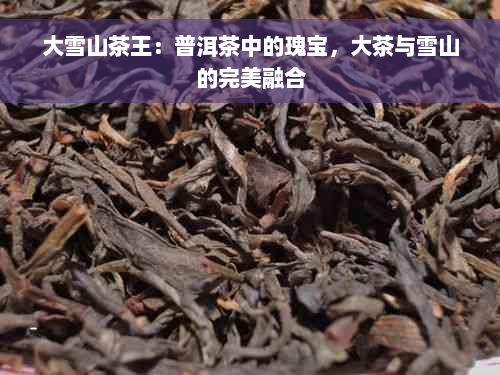 大雪山茶王：普洱茶中的瑰宝，大茶与雪山的完美融合