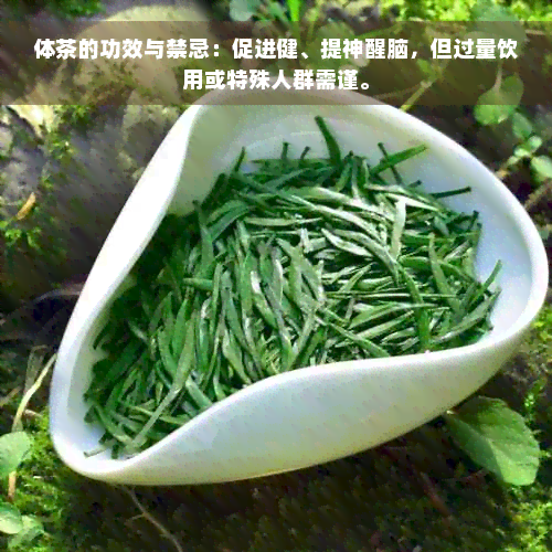 体茶的功效与禁忌：促进健、提神醒脑，但过量饮用或特殊人群需谨。