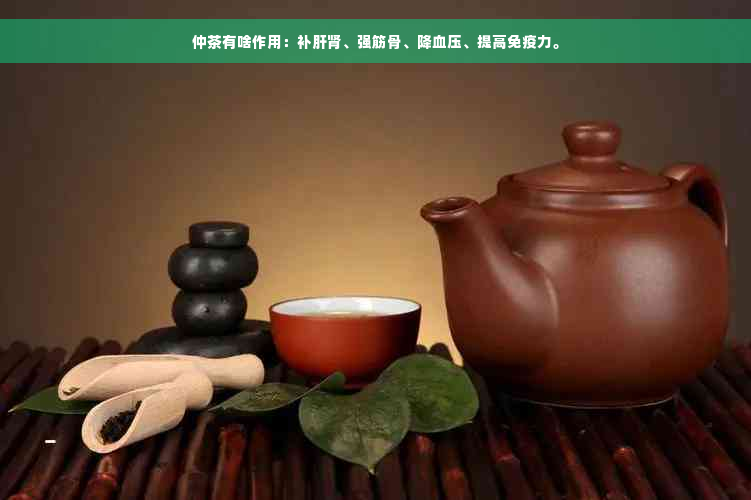 仲茶有啥作用：补肝肾、强筋骨、降血压、提高免疫力。