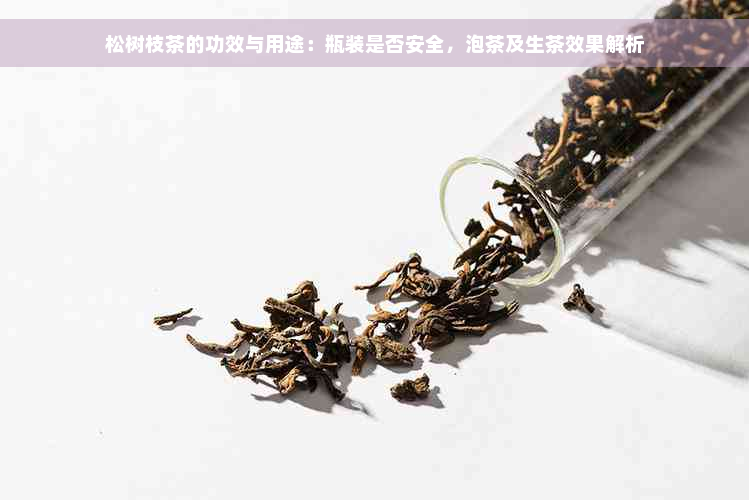 松树枝茶的功效与用途：瓶装是否安全，泡茶及生茶效果解析