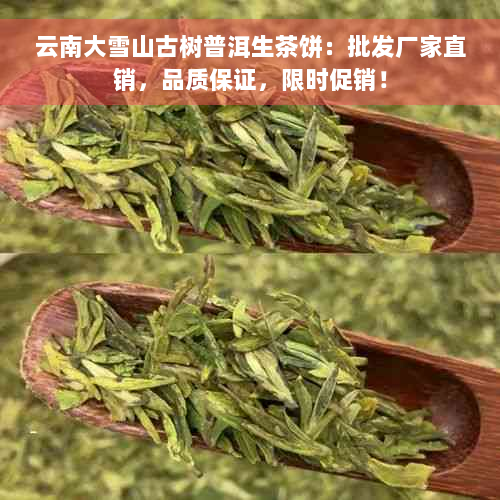 云南大雪山古树普洱生茶饼：批发厂家直销，品质保证，限时促销！