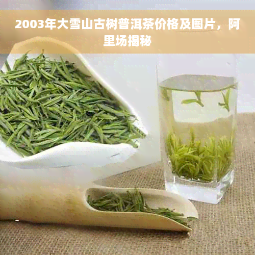 2003年大雪山古树普洱茶价格及图片，阿里场揭秘