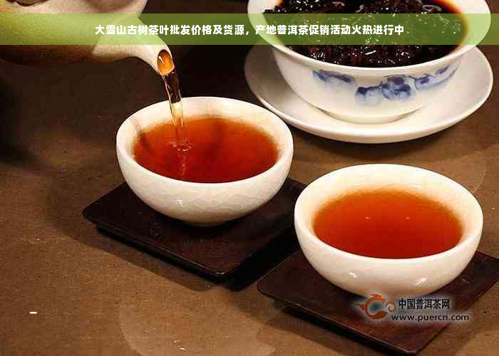 大雪山古树茶叶批发价格及货源，产地普洱茶促销活动火热进行中