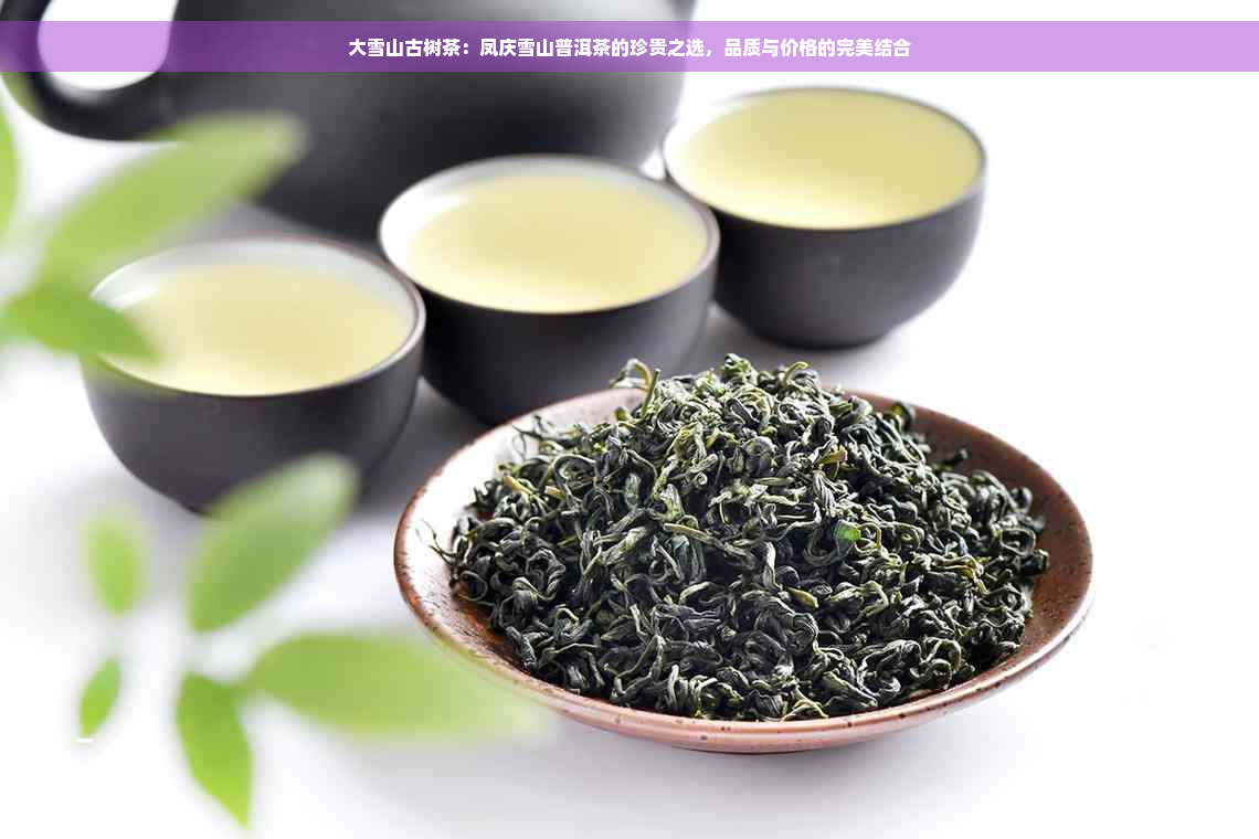 大雪山古树茶：凤庆雪山普洱茶的珍贵之选，品质与价格的完美结合
