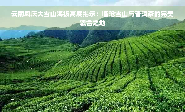 云南凤庆大雪山海拔高度揭示：临沧雪山与普洱茶的完美融合之地