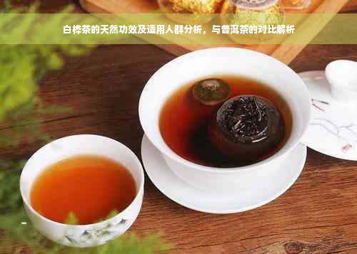 白桦茶的天然功效及适用人群分析，与普洱茶的对比解析