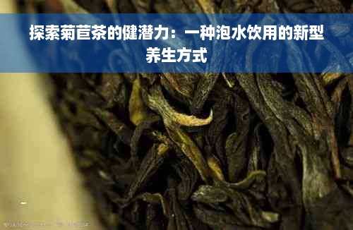 探索菊苣茶的健潜力：一种泡水饮用的新型养生方式