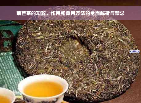 菊苣茶的功效、作用和食用方法的全面解析与禁忌