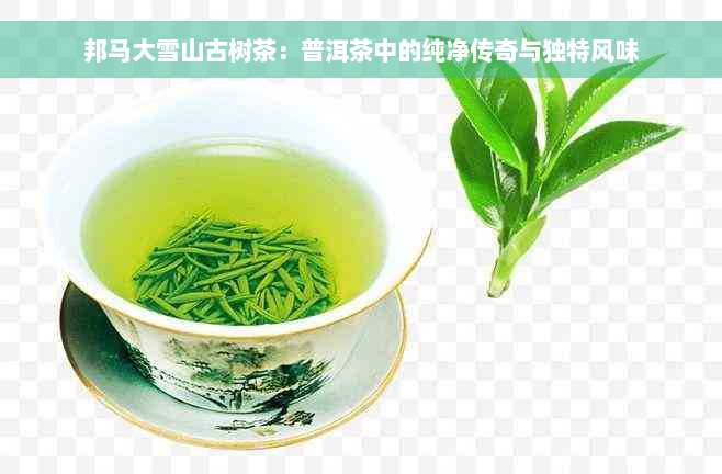 邦马大雪山古树茶：普洱茶中的纯净传奇与独特风味