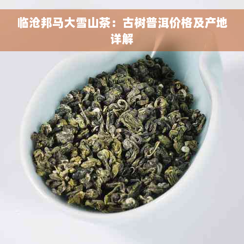 临沧邦马大雪山茶：古树普洱价格及产地详解