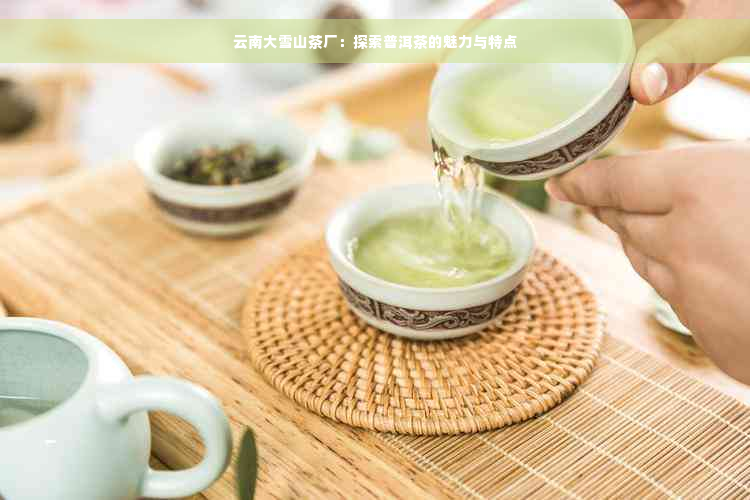 云南大雪山茶厂：探索普洱茶的魅力与特点