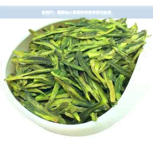 东特产：揭秘仙人掌茶的神奇功效与由来