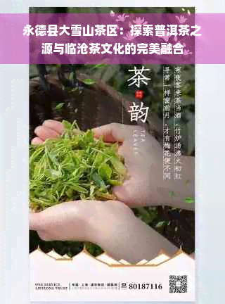 永德县大雪山茶区：探索普洱茶之源与临沧茶文化的完美融合