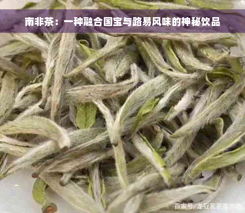 南非茶：一种融合国宝与路易风味的神秘饮品