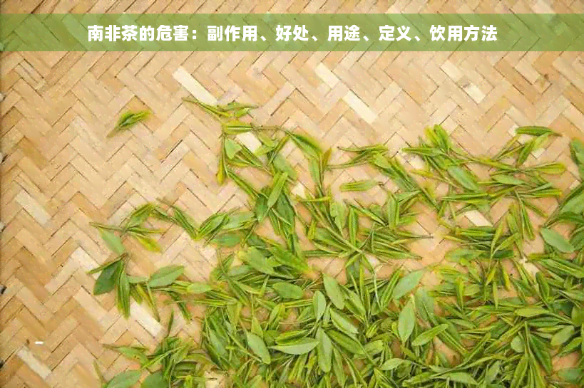 南非茶的危害：副作用、好处、用途、定义、饮用方法