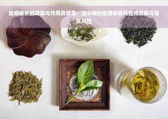 地胡椒茶的功效与作用及禁忌：泡水喝的地胡椒有何独特效果与潜在风险