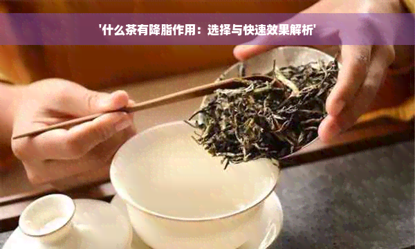 '什么茶有降脂作用：选择与快速效果解析'