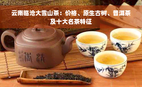 云南临沧大雪山茶：价格、原生古树、普洱茶及十大名茶特征
