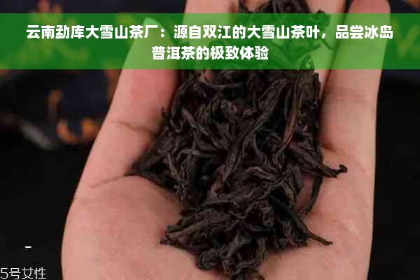 云南勐库大雪山茶厂：源自双江的大雪山茶叶，品尝冰岛普洱茶的极致体验