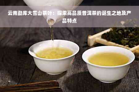 云南勐库大雪山茶叶：探索高品质普洱茶的诞生之地及产品特点