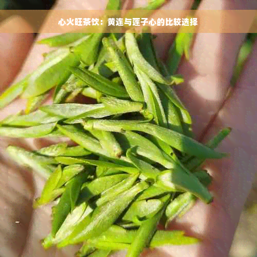 心火旺茶饮：黄连与莲子心的比较选择