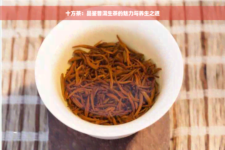 十方茶：品鉴普洱生茶的魅力与养生之道