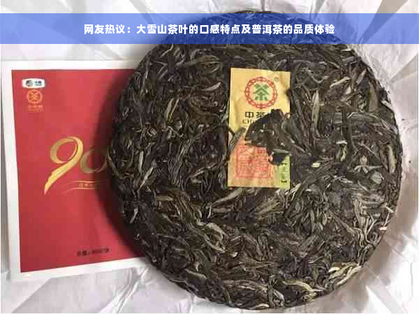网友热议：大雪山茶叶的口感特点及普洱茶的品质体验