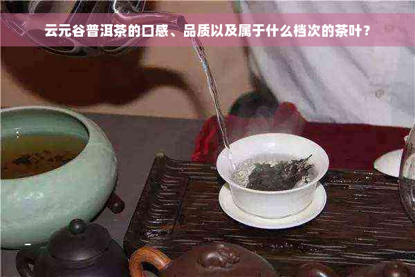 云元谷普洱茶的口感、品质以及属于什么档次的茶叶？