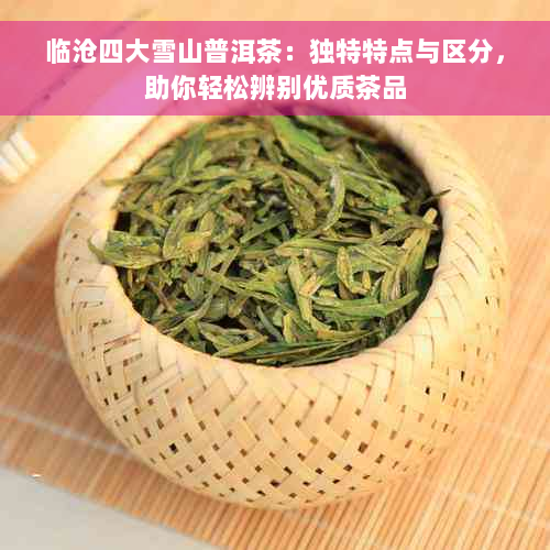 临沧四大雪山普洱茶：独特特点与区分，助你轻松辨别优质茶品