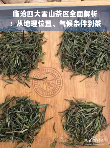 临沧四大雪山茶区全面解析：从地理位置、气候条件到茶叶品种一网打尽