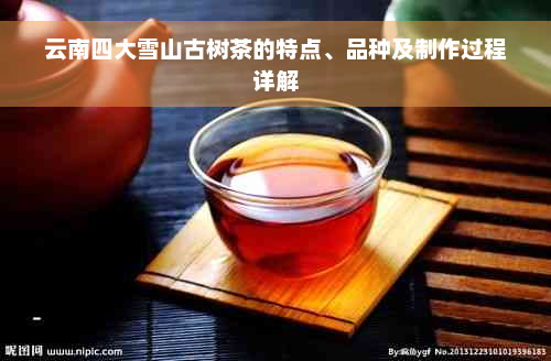 云南四大雪山古树茶的特点、品种及制作过程详解