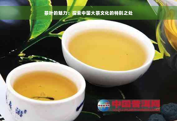 茶叶的魅力：探索中国大茶文化的特别之处