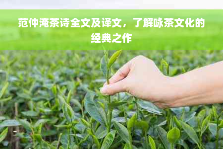 范仲淹茶诗全文及译文，了解咏茶文化的经典之作