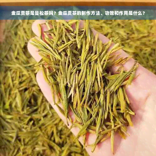 金瓜贡茶是曼松茶吗？金瓜贡茶的制作方法、功效和作用是什么？