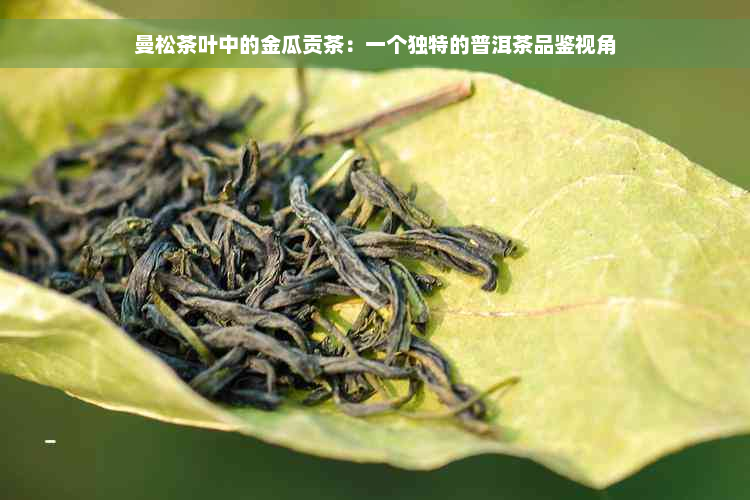 曼松茶叶中的金瓜贡茶：一个独特的普洱茶品鉴视角