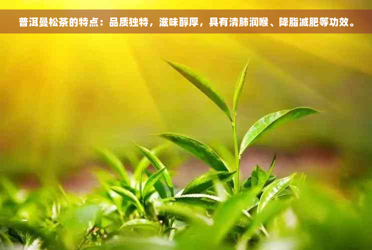普洱曼松茶的特点：品质独特，滋味醇厚，具有清肺润喉、降脂减肥等功效。