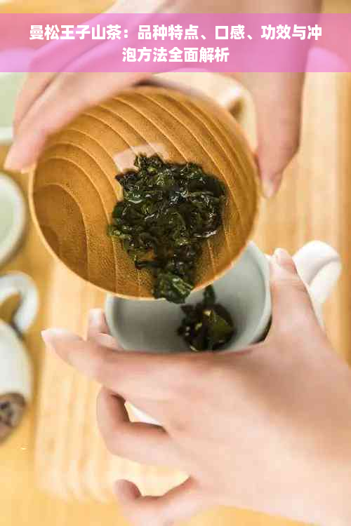曼松王子山茶：品种特点、口感、功效与冲泡方法全面解析