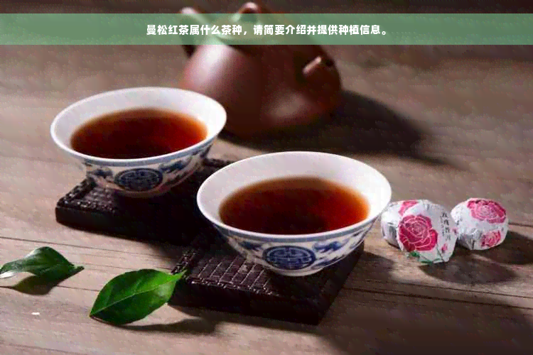 曼松红茶属什么茶种，请简要介绍并提供种植信息。