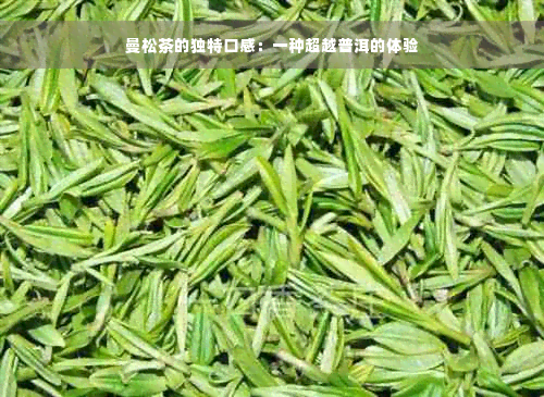 曼松茶的独特口感：一种超越普洱的体验